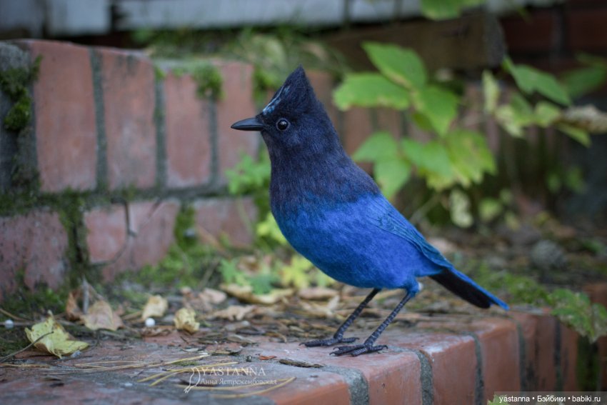 Синяя птица — Валяные игрушки из шерсти: сухое валяние (фото 2)