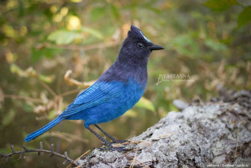 Синяя птица — Валяные игрушки из шерсти: сухое валяние (фото 7)