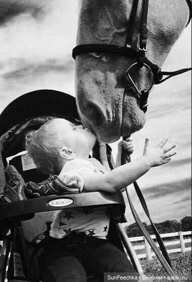 Ребята и зверята — Дети: красивые фото