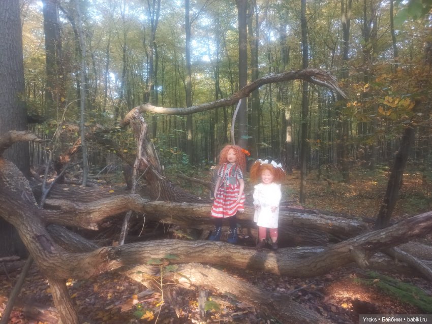 Мои рыжие Лисички — Куклы Zwergnase (Цвергназе/Цверги): фото