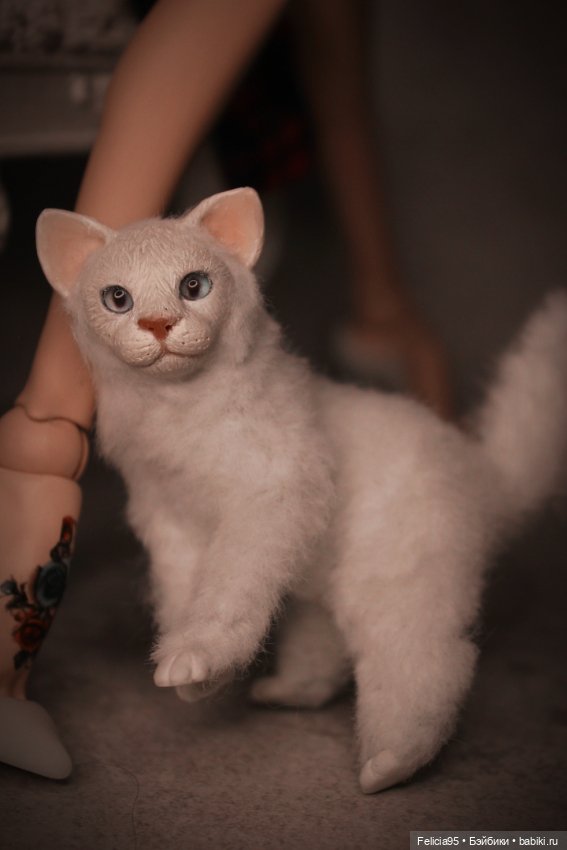 Joydolls. Luma. Моя Сальма и её кот (фото 6)