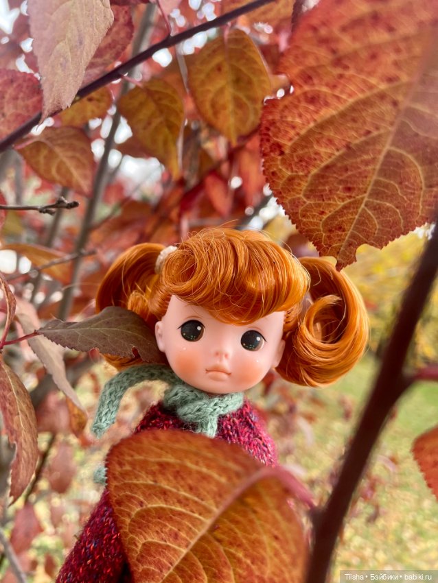 Iroa doll — Азиатские виниловые куклы (разное): Китай