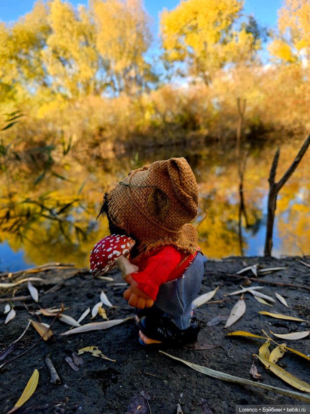 Осенняя прогулка — Игровые куклы разных производителей (Разное): редкие бренды (фото 9)