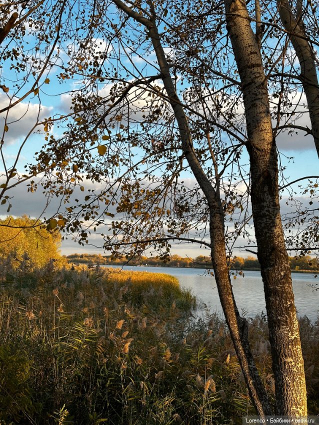 Осенняя прогулка — Игровые куклы разных производителей (Разное): редкие бренды