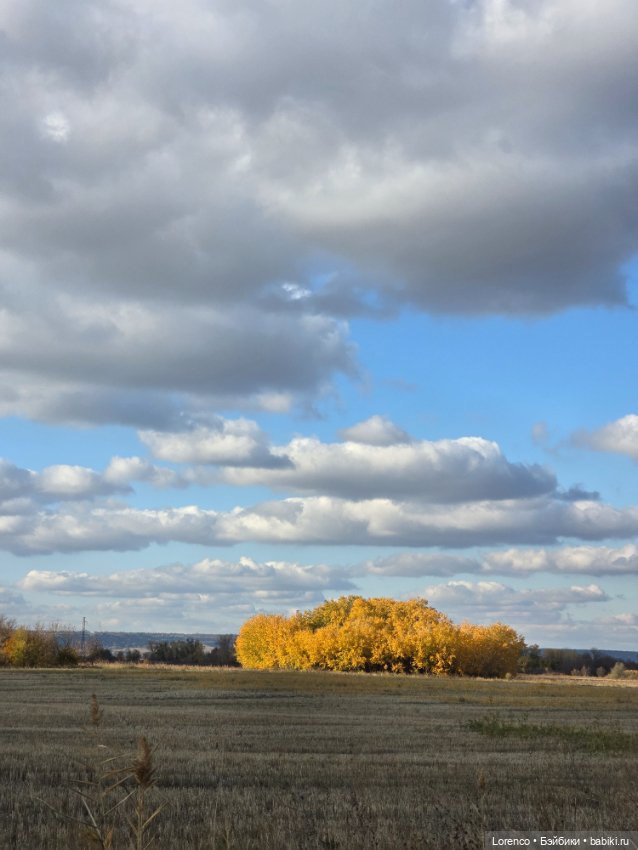 Осенняя прогулка — Игровые куклы разных производителей (Разное): редкие бренды (фото 2)