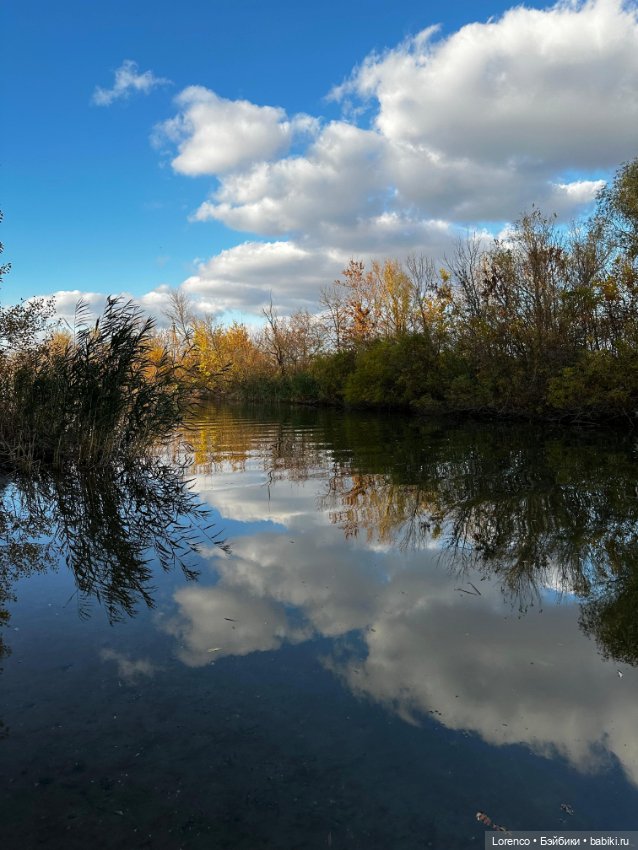 Осенняя прогулка — Игровые куклы разных производителей (Разное): редкие бренды