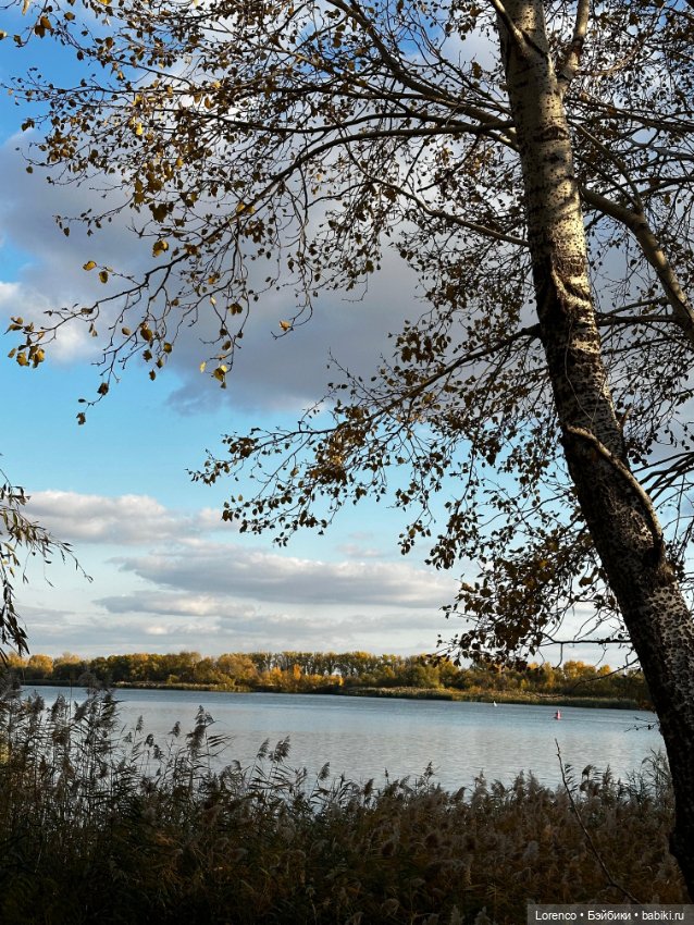 Осенняя прогулка — Игровые куклы разных производителей (Разное): редкие бренды