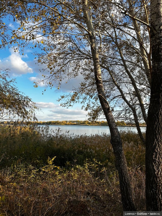 Осенняя прогулка — Игровые куклы разных производителей (Разное): редкие бренды