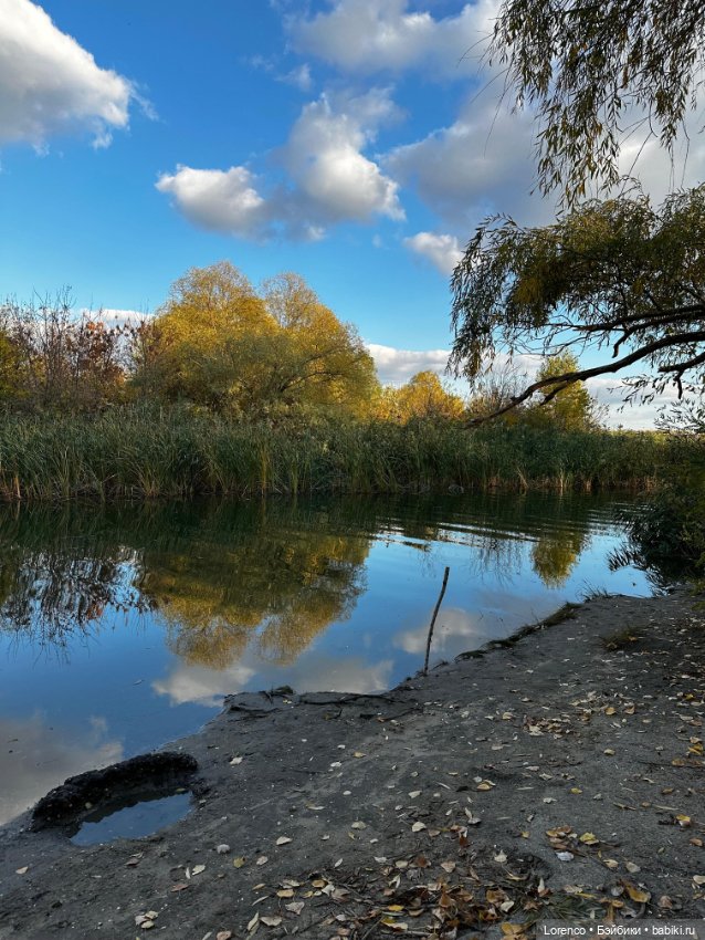 Осенняя прогулка — Игровые куклы разных производителей (Разное): редкие бренды