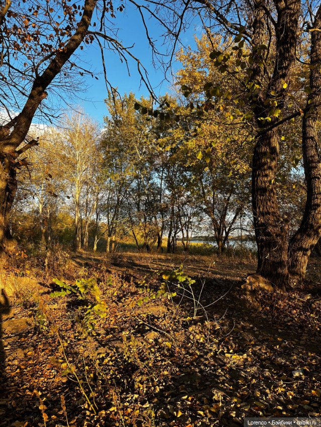 Осенняя прогулка — Игровые куклы разных производителей (Разное): редкие бренды