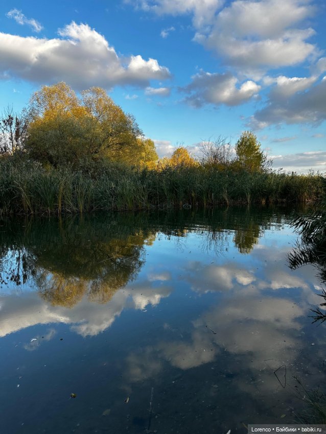 Осенняя прогулка — Игровые куклы разных производителей (Разное): редкие бренды