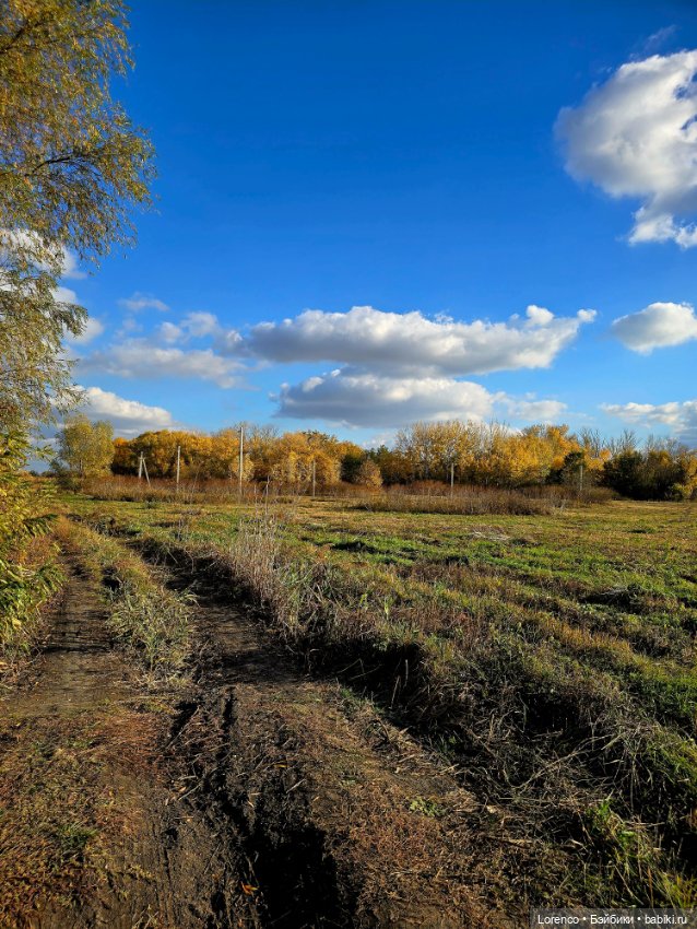 Осенняя прогулка — Игровые куклы разных производителей (Разное): редкие бренды (фото 3)
