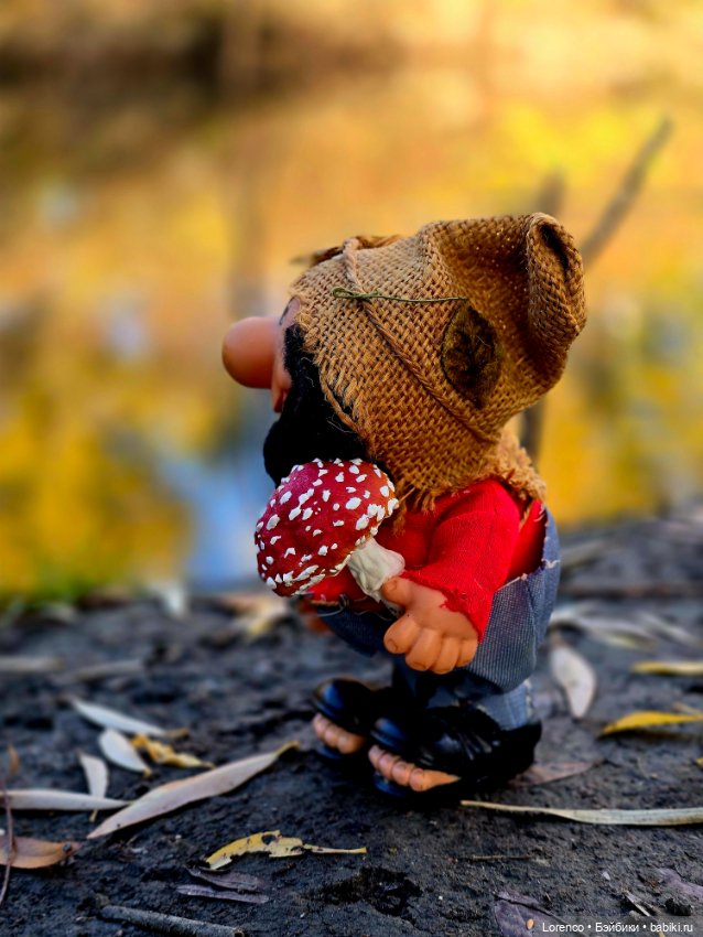Осенняя прогулка — Игровые куклы разных производителей (Разное): редкие бренды (фото 7)