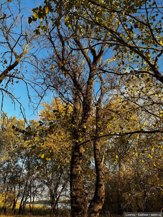 Осенняя прогулка — Игровые куклы разных производителей (Разное): редкие бренды