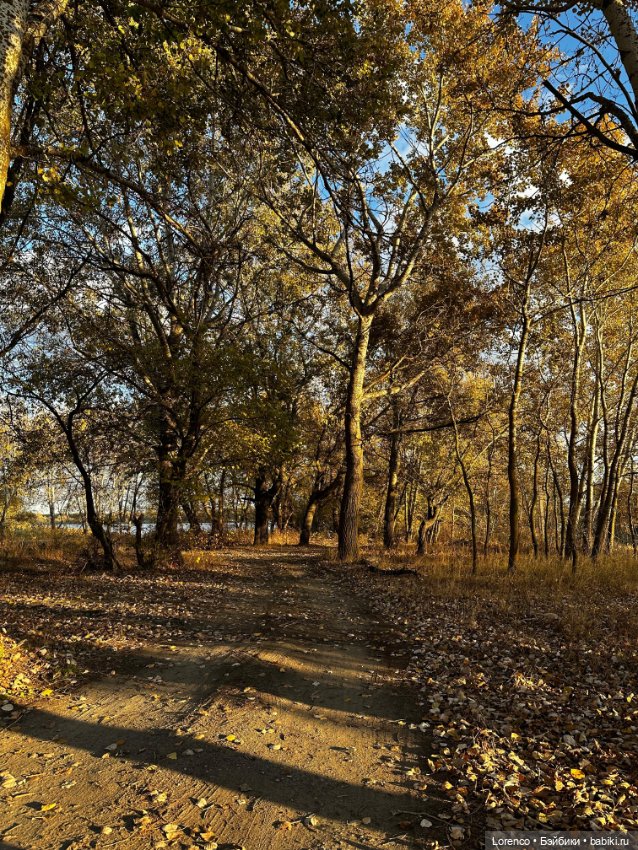 Осенняя прогулка — Игровые куклы разных производителей (Разное): редкие бренды