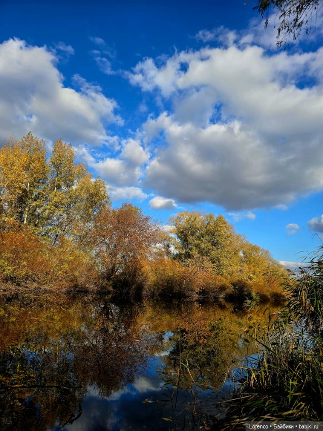Осенняя прогулка — Игровые куклы разных производителей (Разное): редкие бренды (фото 8)