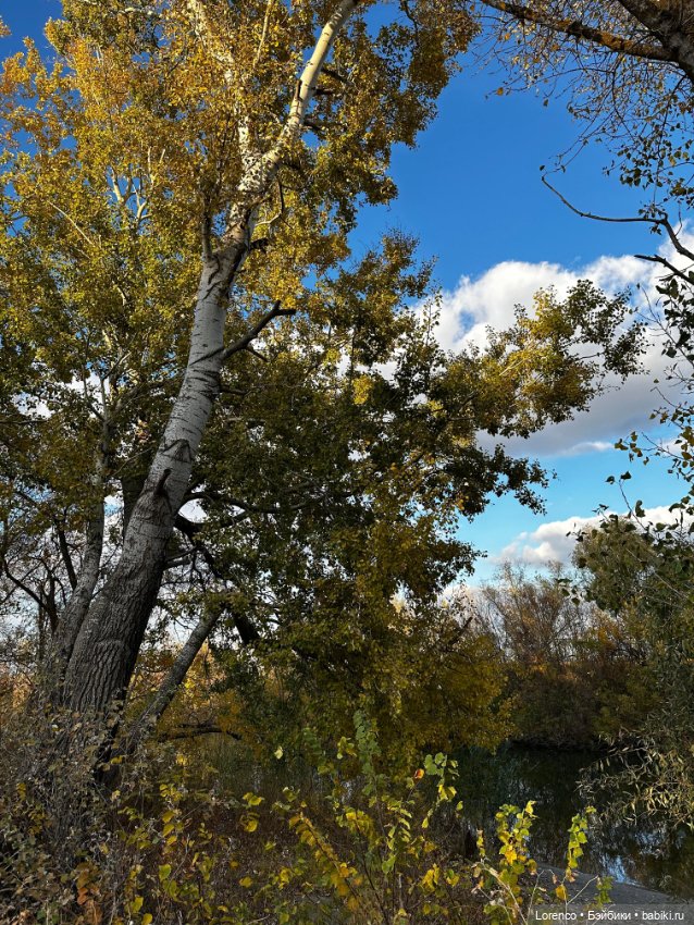 Осенняя прогулка — Игровые куклы разных производителей (Разное): редкие бренды