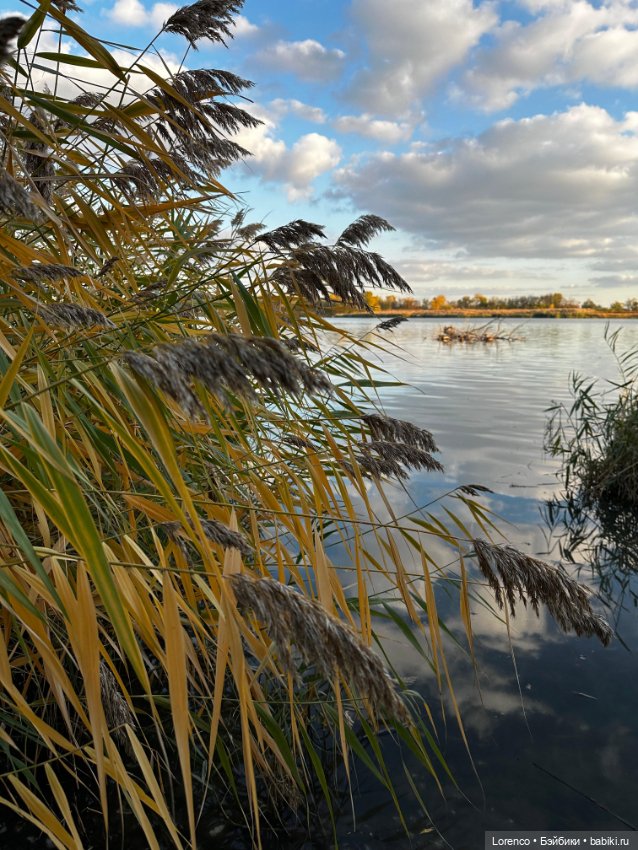 Осенняя прогулка — Игровые куклы разных производителей (Разное): редкие бренды