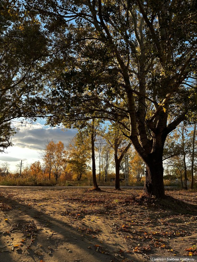 Осенняя прогулка — Игровые куклы разных производителей (Разное): редкие бренды