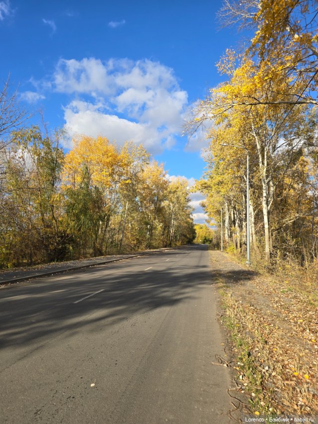 Осенняя прогулка — Игровые куклы разных производителей (Разное): редкие бренды