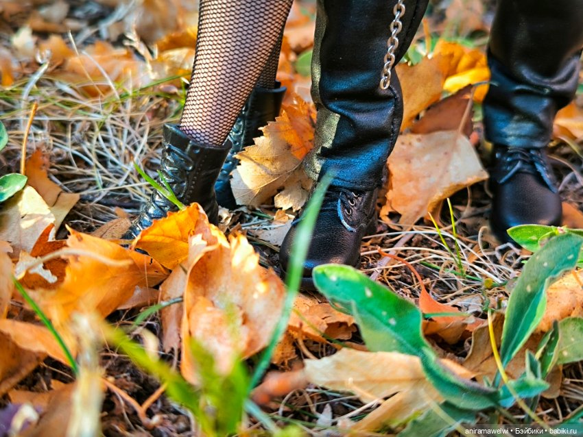 Громовы на закате октября (фото 2)