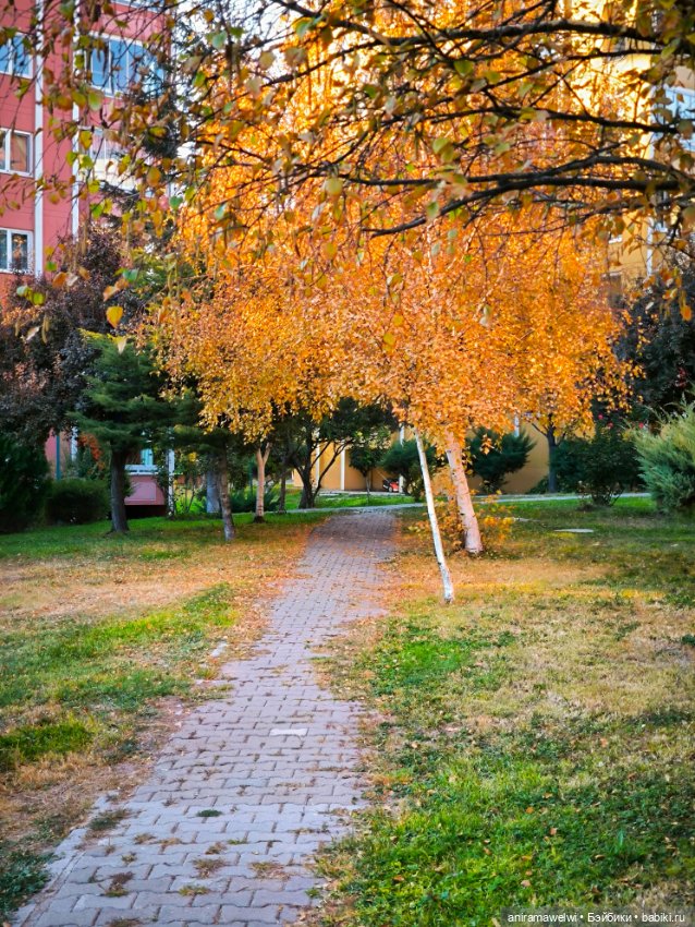 Громовы на закате октября