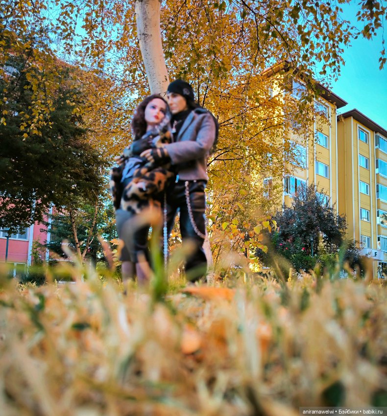 Громовы на закате октября