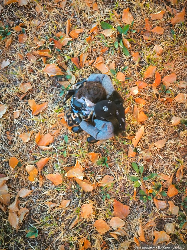 Громовы на закате октября