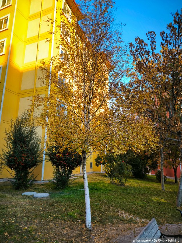 Громовы на закате октября