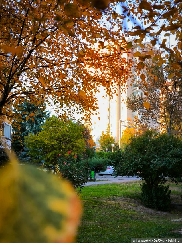 Громовы на закате октября