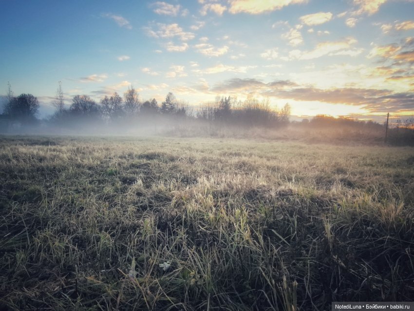 До свидания, Золотая осень🍂🍁 (фото 9)