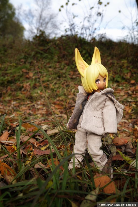 До свидания, Золотая осень🍂🍁 (фото 7)