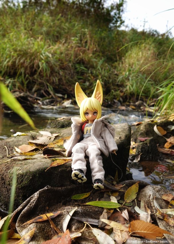 До свидания, Золотая осень🍂🍁 (фото 5)