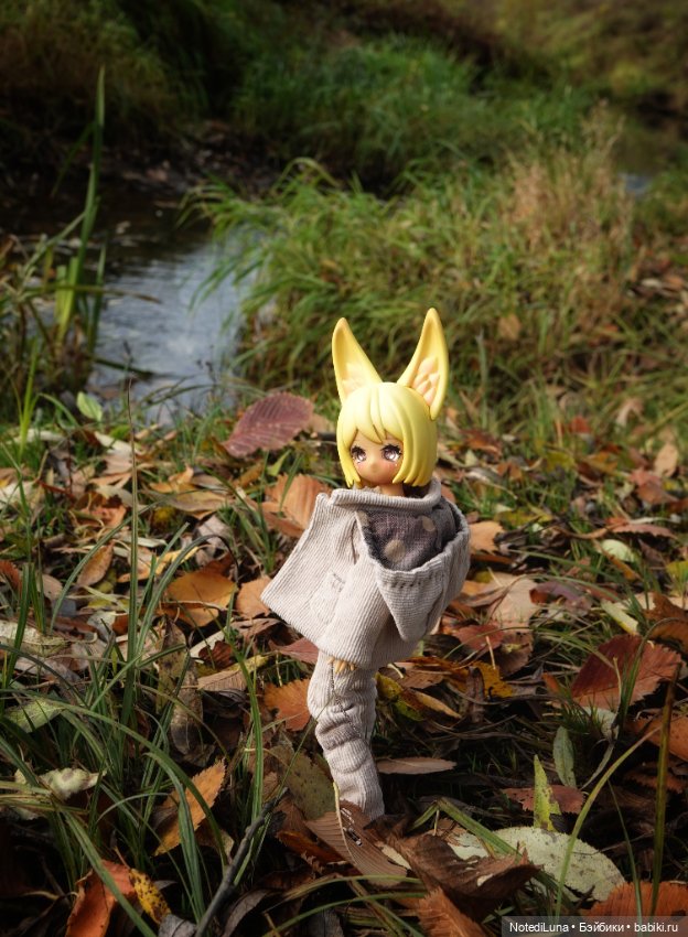 До свидания, Золотая осень🍂🍁 (фото 4)