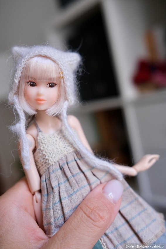 Motte, прозрачная красавица