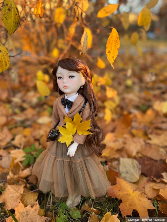 Осенняя Сейдж — Куклы Ruby Red (Руби Ред) Fashion Friends: Siblies (фото 4)