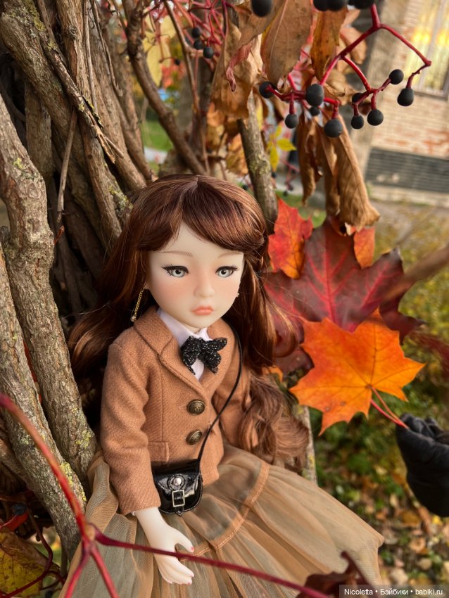 Осенняя Сейдж — Куклы Ruby Red (Руби Ред) Fashion Friends: Siblies (фото 8)