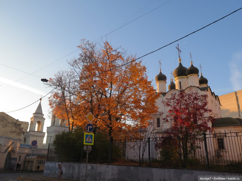 Ари первая прогулка по Москве (фото 8)