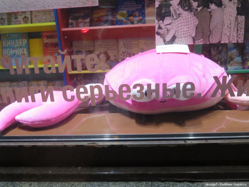 Ари первая прогулка по Москве