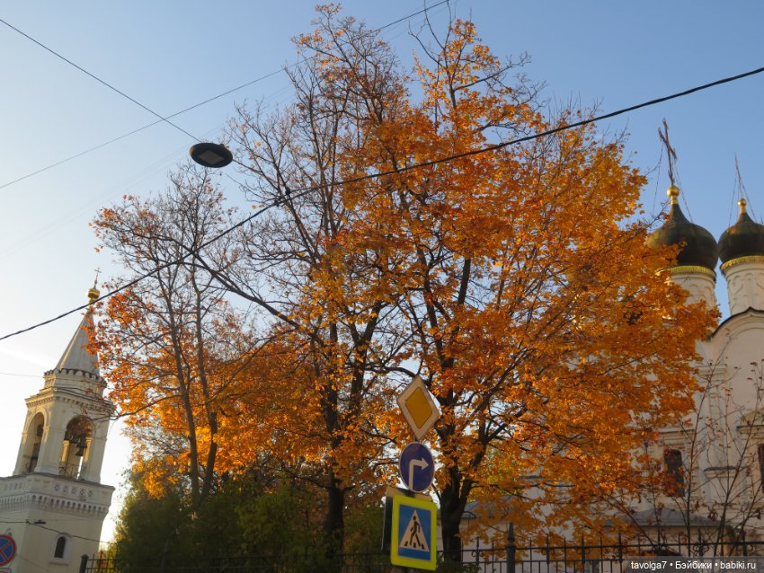 Ари первая прогулка по Москве (фото 10)