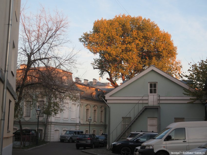Ари первая прогулка по Москве