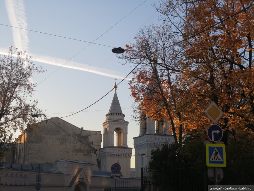 Ари первая прогулка по Москве (фото 9)