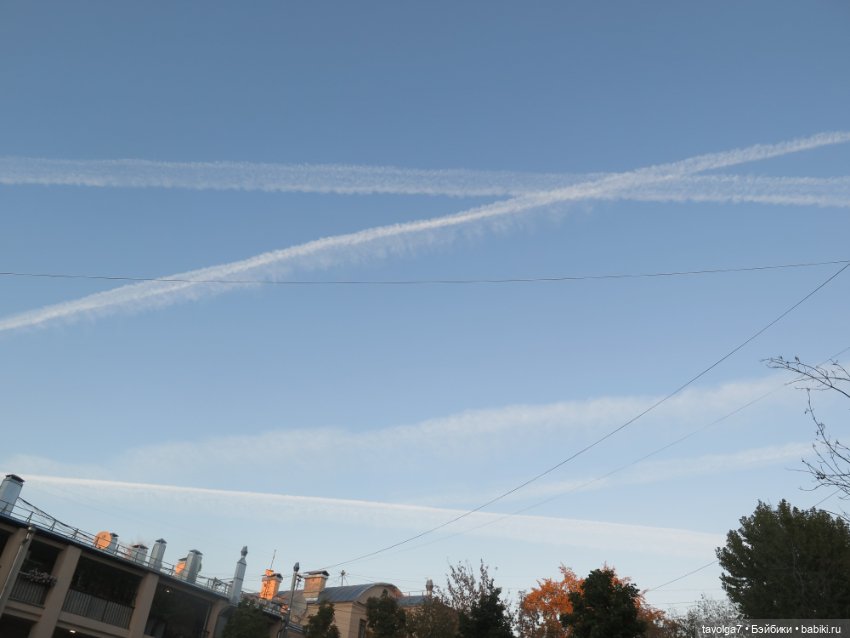 Ари первая прогулка по Москве