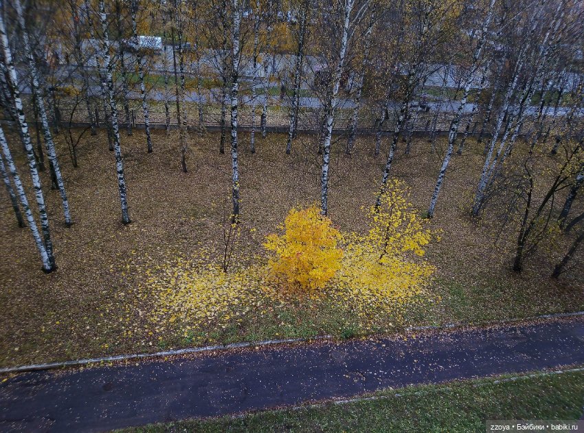 ОктяБРЬ на дворе — Гибриды шарнирных кукол (не БЖД): подбор тела