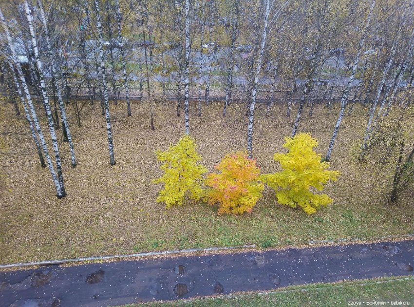 ОктяБРЬ на дворе — Гибриды шарнирных кукол (не БЖД): подбор тела