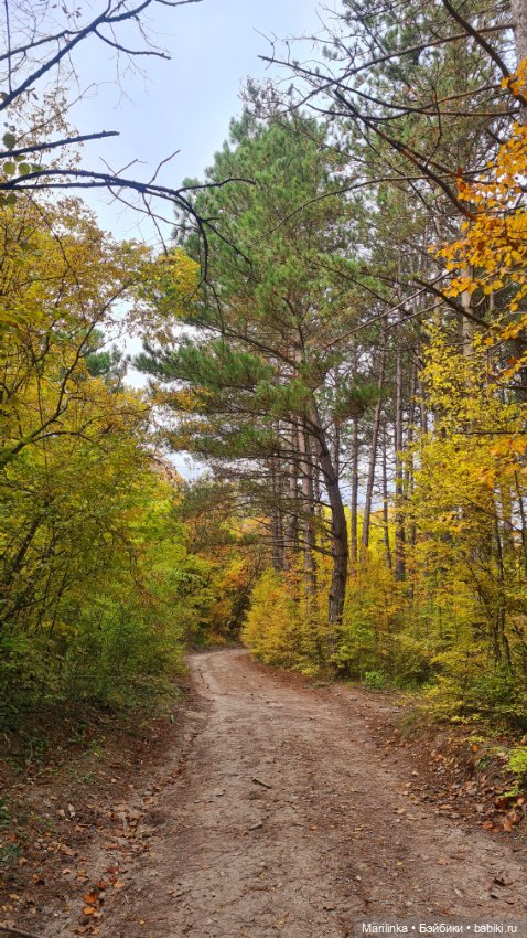 Мухоморчик — Куклы Paola Reina (Паола Рейна): новинки