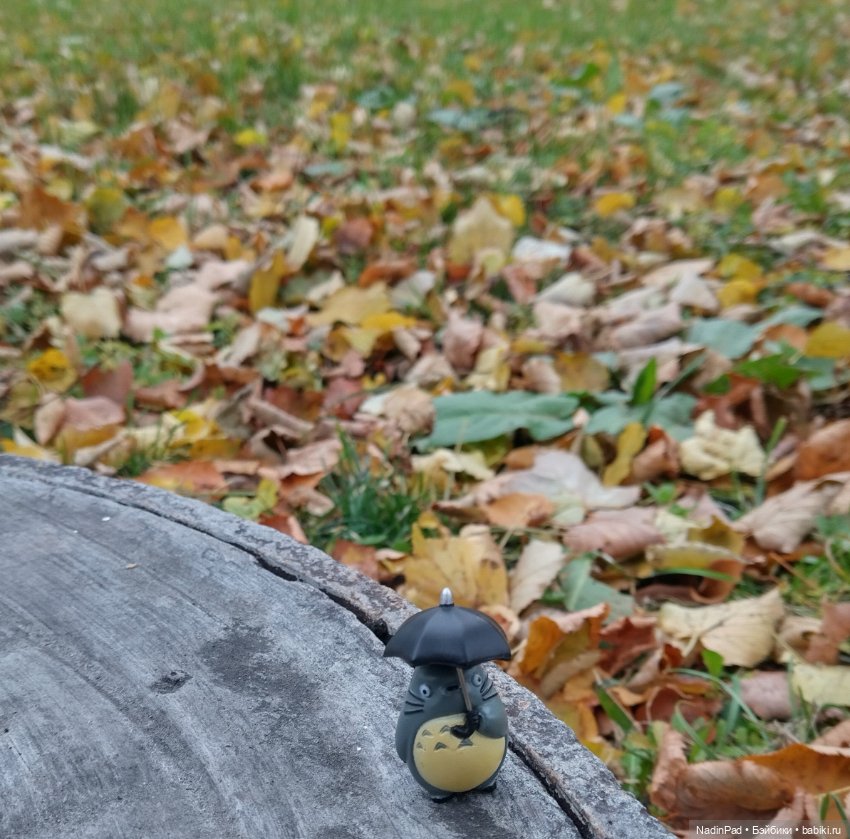 Тоторо и осень — Интересное обо всем: поздравления (фото 5)