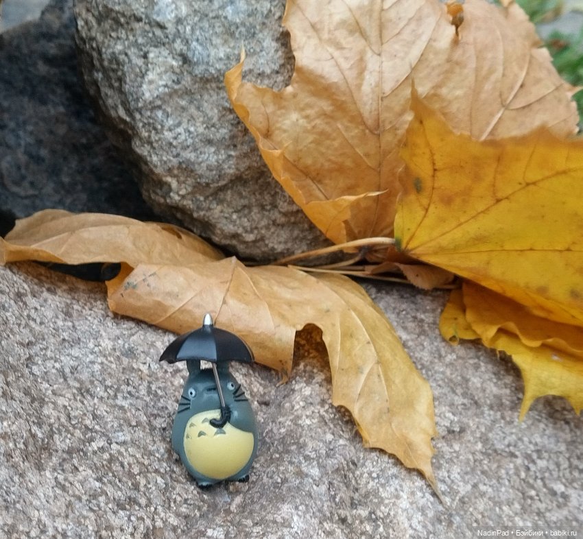 Тоторо и осень — Интересное обо всем: поздравления