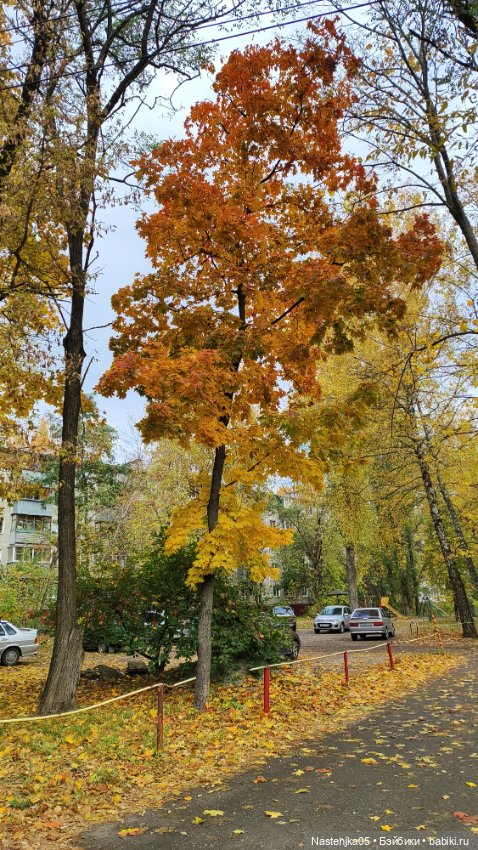 Осенние деньки — Одежда и обувь для кукол своими руками: фото