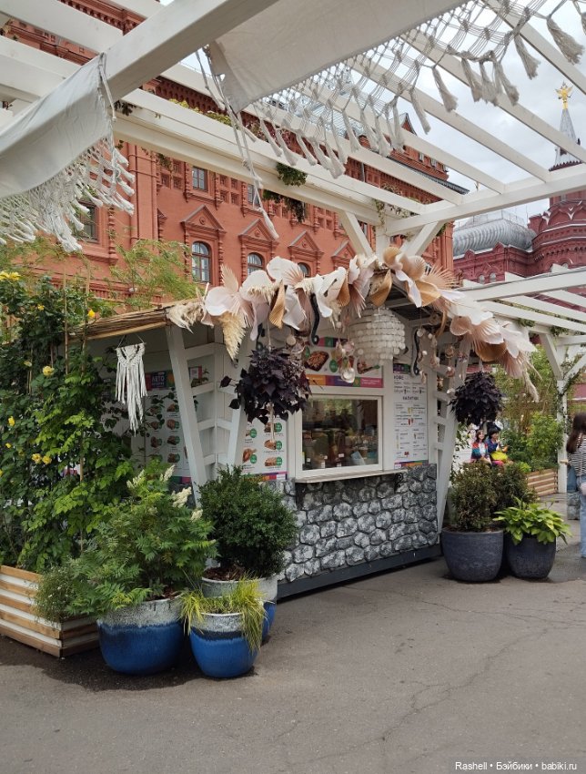 Лето 2024 с Гердочкой. Часть 5 Кремль и пальмы